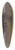 Nils Kreuger - Cows on the Beach 39.3 inch art pintail longboard deck