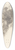 Odilon Redon - Pierre Bonnard 39.3 inch art pintail longboard deck