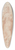 Parmigianino - The Virgin Walking to the Right Carrying the Christ Child 39.3 inch art pintail longboard deck Parmigianino - The Virgin Walking to the Right Carrying the Christ Child 39.3 inch art pintail longboard deck