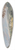 Paul Sandby - One of Six Remarkable Views in the Provinces of New York, New Jersey and Pennsylvania from SCENOGRAPHI AMERICANA 39.3 inch art pintail longboard deck