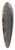 Paul Von Spaun - Capri 39.3 inch art pintail longboard deck