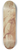 Cornelis Pietersz. Bega - Junge Fischerin mit Fischkorb stehend nach links 8.25 inch art skate deck
