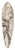 Peter Paul Rubens - Herkules II 39.3 inch art pintail longboard deck