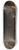 Cornelis Saftleven - A Witches Sabbath 8.25 inch art skate deck