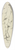 Peter Paul Rubens - Studies of male torsos 39.3 inch art pintail longboard deck