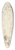Peter Paul Rubens - The Virgin Adored by Saints 39.3 inch art pintail longboard deck