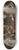 Cornelis Troost - The inspectors of the Collegium Medicum 8.25 inch art skate deck