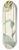Cornelis van Noorde - De tulp Bizard Louis dEffroy 8.25 inch art skate deck
