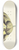 Cornelis van Noorde - Tulp genaamd Bizard Egiptienne 8.25 inch art skate deck