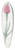 Pierre Joseph Redout - Erica Fulgida 39.3 inch art pintail longboard deck