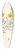 Pierre Joseph Redout - Rosa Berberifolia 39.3 inch art pintail longboard deck
