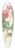 Pierre Joseph Redout - Rosa Canina Burboniana 39.3 inch art pintail longboard deck