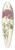 Pierre Joseph Redout - Rosa Indica Subviolacea 39.3 inch art pintail longboard deck