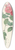 Pierre Joseph Redout - Rosa Multiflora Platyphylla 39.3 inch art pintail longboard deck