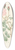 Pierre Joseph Redout - Rosa Muscosa Simplex 39.3 inch art pintail longboard deck