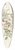 Pierre Joseph Redout - Rosa Redutea Glauca 39.3 inch art pintail longboard deck