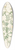 Pierre Joseph Redout - Rosa Sepium Myrti Folia 39.3 inch art pintail longboard deck