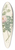 Pierre Joseph Redout - Rosa Ventenatiana 39.3 inch art pintail longboard deck