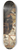 Cornelius Norbertus Gijsbrechts - Trompe Loeil. Letter Rack With A Barber-Surgeons Instruments 8.25 inch art skate deck