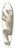 Pieter Pietersz. Barbiers - Mantelbaviaan 39.3 inch art pintail longboard deck