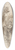 Pietro da Cortona - The Triumph of Nature Over Art 39.3 inch art pintail longboard deck