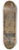 Count Amadeo Preziosi - The Grand Bazaar in Constantinople 8.25 inch art skate deck