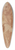 Pontormo (Jacopo Carucci) - Female figure with covered head (study for a figure in the fresco of the Visitation in Santissima Annunziata) 39.3 inch art pintail longboard deck