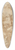 Prospero Fontana - Phaeton receiving the chariot from Apollo 39.3 inch art pintail longboard deck