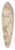 Prospero Fontana - Studies for Recumbent AllegoricalFigures 39.3 inch art pintail longboard deck