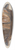 Randolph Atkinson - Cake Mold 39.3 inch art pintail longboard deck