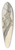 Robert Hills - Tree Study 39.3 inch art pintail longboard deck