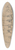 Robert Polhill Bevan - Religious Ceremony, Brittany 39.3 inch art pintail longboard deck