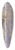 Robert Spencer - Across the Delaware 39.3 inch art pintail longboard deck