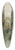 Rubens Santoro - A Family Outing On A Venetian Canal 39.3 inch art pintail longboard deck