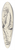 Rudolf Gudden - Profile of an elderly man 39.3 inch art pintail longboard deck