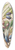 Sarah Featon - 1. Taiaire; Beilschmiedia tarairi; 2. Tawa; Beilschmiedia tawa 39.3 inch art pintail longboard deck