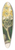 Sarah Featon - Korikori 39.3 inch art pintail longboard deck