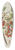 Sarah Featon - Titoki.  Alectryon excelsum. Plate 23 39.3 inch art pintail longboard deck