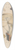 Sarah Price - Illustrations of the fungi of our fields and woods Pl.14 39.3 inch art pintail longboard deck