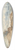 School of Jan Brueghel the Elder - Castle on theSeashore 39.3 inch art pintail longboard deck