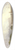 Sir Augustus Wall Callcott - Windsor from Eton 39.3 inch art pintail longboard deck