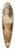 Sir John Everett Millais - Clarissa 39.3 inch art pintail longboard deck