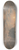 David Cox - Beach Scene, Sunrise 8.25 inch art skate deck