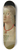 Davide Ghirlandaio - Selvaggia Sassetti (born 1470) 8.25 inch art skate deck