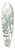 Sydenham Edwards - Linear-leaved Hakea 39.3 inch art pintail longboard deck