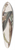 Sydenham Edwards - Rusty Eria 39.3 inch art pintail longboard deck