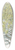 Sydenham Edwards - Venetian Euphorbia 39.3 inch art pintail longboard deck
