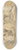 David Humbert de Superville - Head of a roaring lion 8.25 inch art skate deck