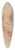 Tanzio da Varallo - Studie af apostlen Markus skrivende, samt detailstudie af hnden, der holder bogen 39.3 inch art pintail longboard deck