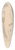 tefan Polkorb - Sketchbook with nudes 39.3 inch art pintail longboard deck